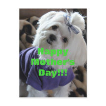 Maltesiska presenter