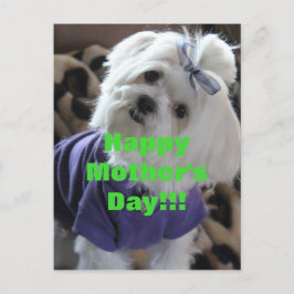 Maltesiska presenter vykort