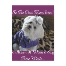 Maltesiska presenter