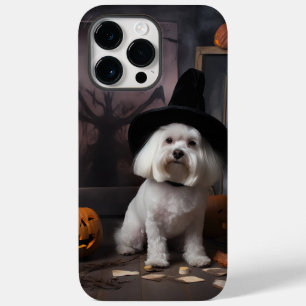 Maltesiska Pumpkins Halloween Scary