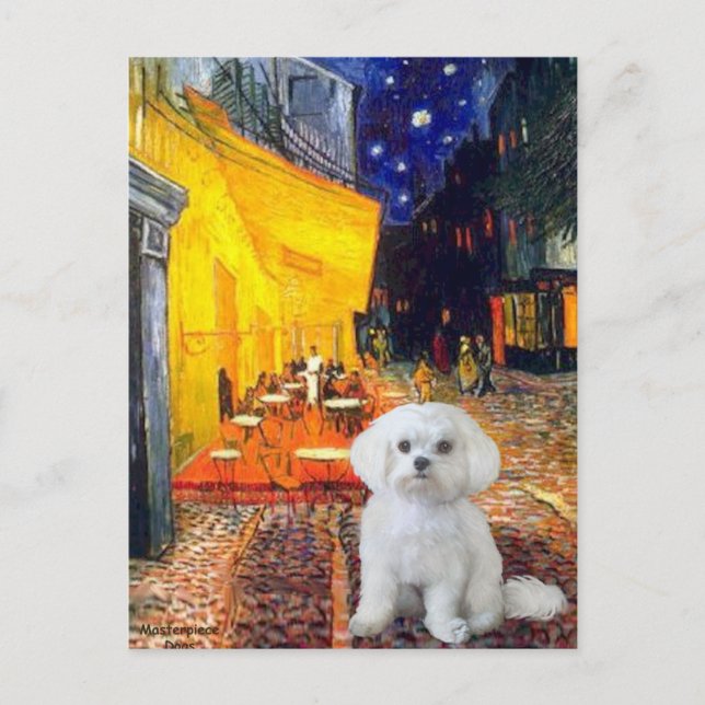 Maltesiska (R) - Terrace Cafe Vykort (Framsida)