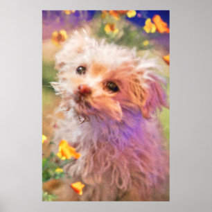 Maltesiska Räddingen Puppy 2 TITTAR THROUGH TÅRAR Poster