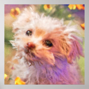 Maltesiska Räddingen Puppy 2 TITTAR THROUGH TÅRAR Poster