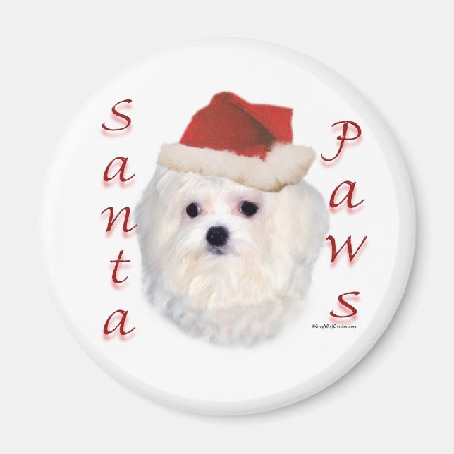 Maltesiska Santa Tassar Magnet (Framsidan)