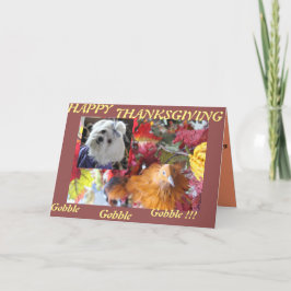 Maltesiska Seasons Löv Design Helgkort