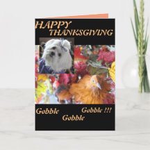 Maltesiska Seasons Löv Design