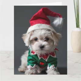 Maltesiska Terrier Elf Puppy-julkort Kort