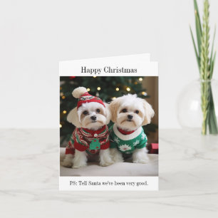 Maltesiska Terriers in jul Sweaters Kort