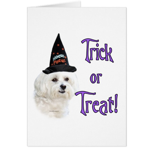 Maltesiska Trick Hälsningskort (Framsidan)