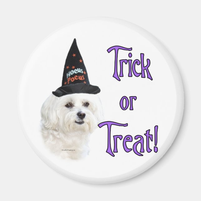 Maltesiska Trick Magnet (Framsidan)