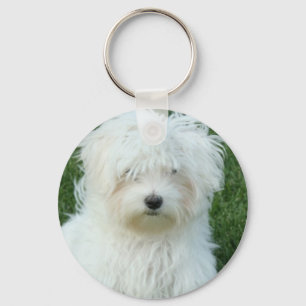 Maltesiska valpar Keychain Nyckelring