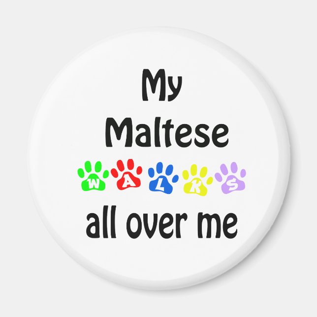 Maltesiska Walks Design Magnet (Framsidan)