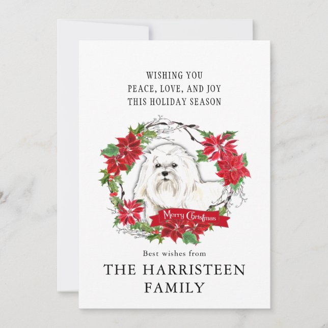 Maltesiska Watercolor Poinsettia jul Julkort (Framsida)