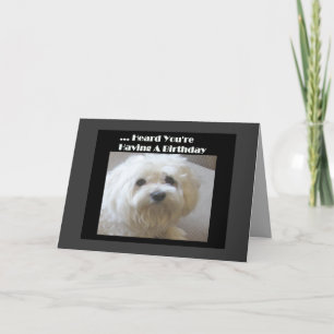 Maltesiskt födelsedagskort Humor för Över-the-Back Kort