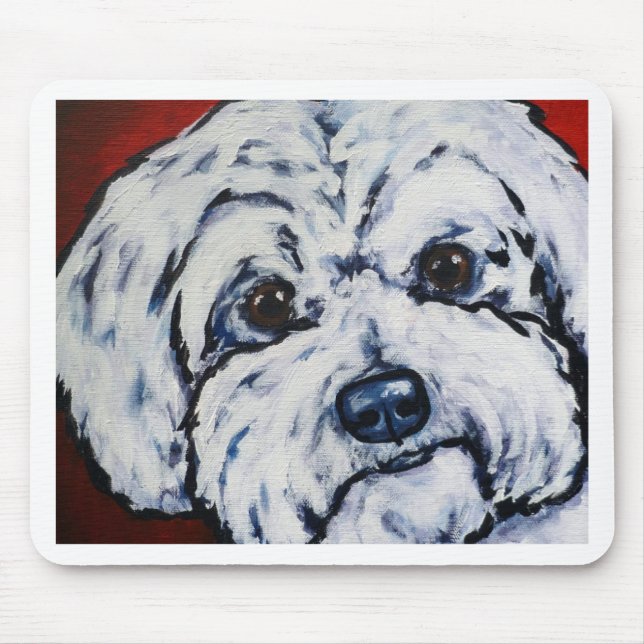 Maltesiskt Musmatta (Framsidan)