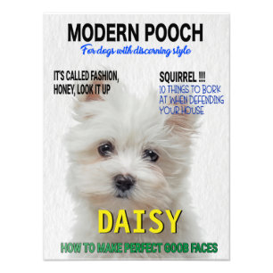 Maltesiskt Terrier Parody Magazine Cover Fototryck