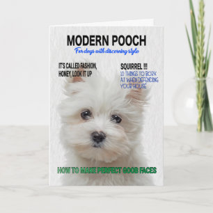 Maltesiskt Terrier Parody Magazine Cover Kort