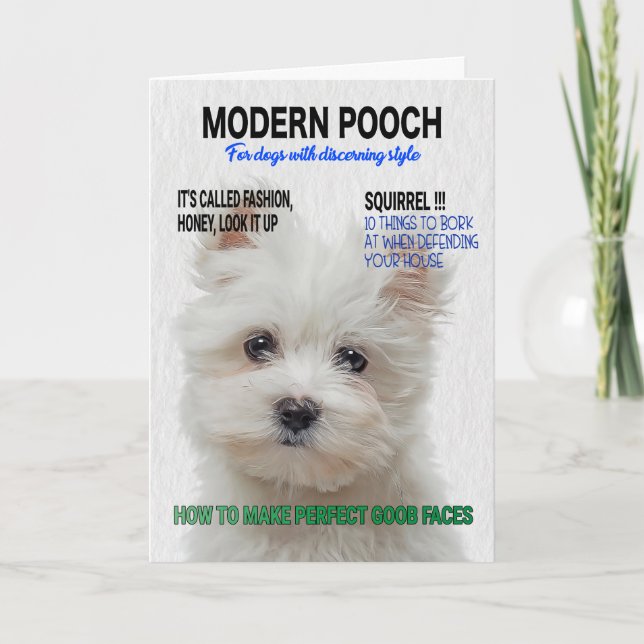 Maltesiskt Terrier Parody Magazine Cover Kort (Framsida)