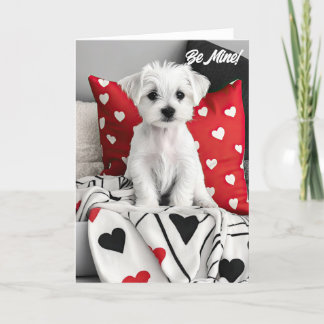 Maltesiskt Terrier Puppy Valentine Card Tack Kort