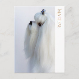 Maltesiskt vykort