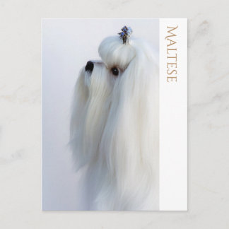 Maltesiskt vykort