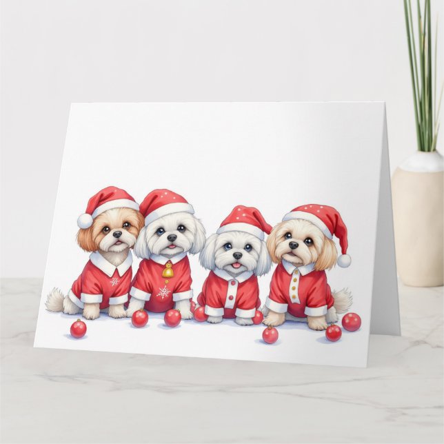 Malti Tzu Christmas Dress Santa Hat Kort (Framsida)