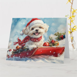 Malti Tzu Hund i släde Låt det snöa jul Kort