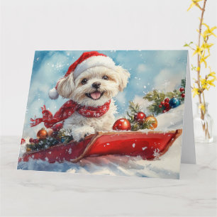 Malti Tzu Hund i släde Låt det snöa jul Kort