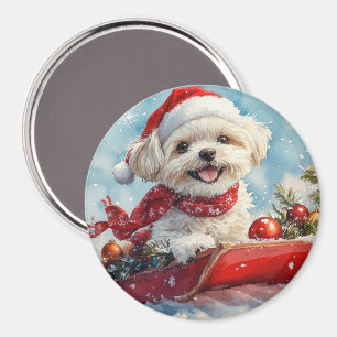 Malti Tzu Hund i släde Låt det snöa jul Magnet
