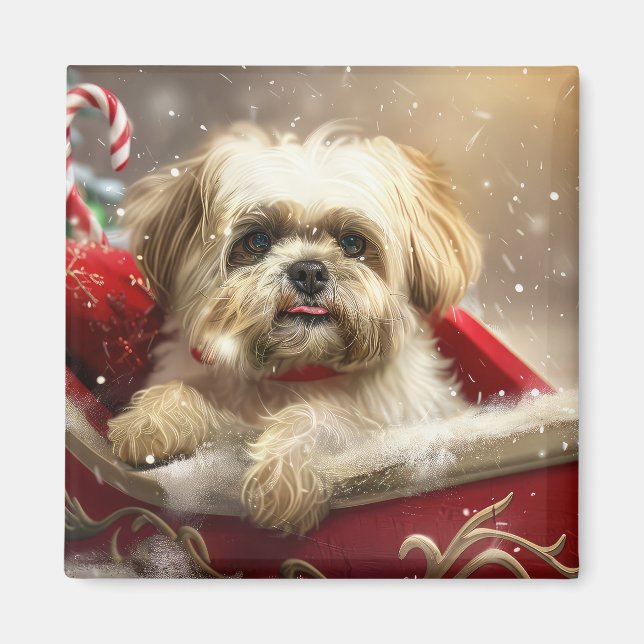 Malti Tzu Hund Jul Festiv Magnet (Framsidan)