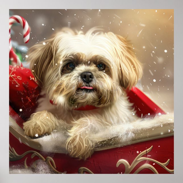 Malti Tzu Hund julafton Poster (Framsidan)