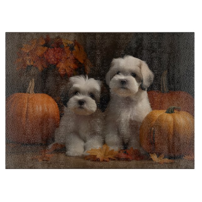 Malti tzu Puppy Autumn Delight Pumpkin (Framsidan)