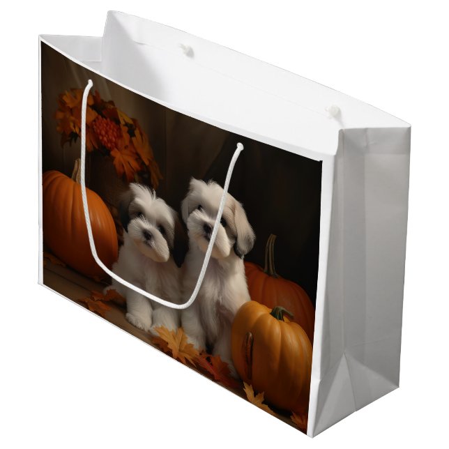 Malti tzu Puppy Autumn Delight Pumpkin (Framsidan Vinklad)
