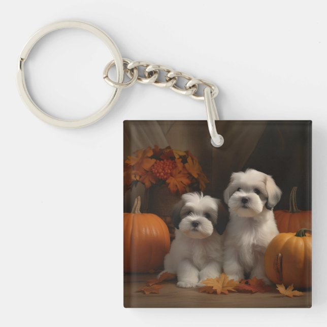 Malti tzu Puppy Autumn Delight Pumpkin (Framsidan)