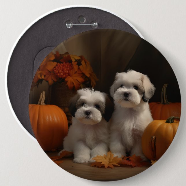 Malti tzu Puppy Autumn Delight Pumpkin Knapp (Framsida & baksida)