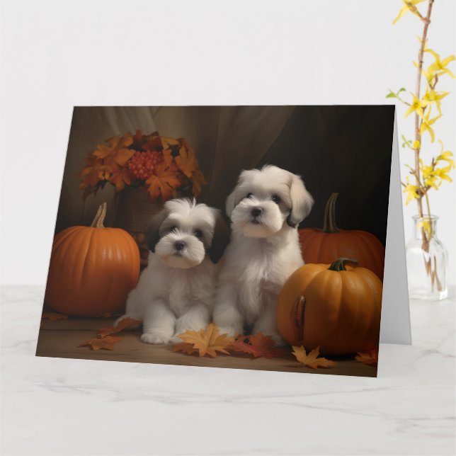 Malti tzu Puppy Autumn Delight Pumpkin Kort (Gul blomma)
