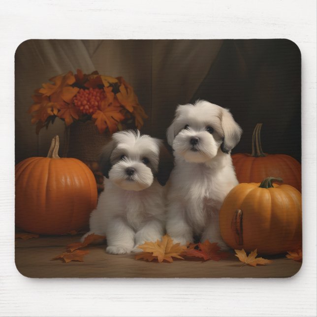 Malti tzu Puppy Autumn Delight Pumpkin Musmatta (Framsidan)