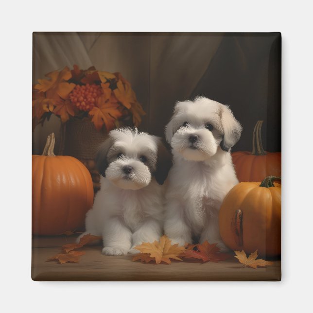 Malti tzu Valp Autumn Delight Pumpkin Magnet (Framsidan)