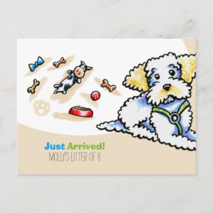 Maltipoo Blandad rå Ny marionett Social Vykort
