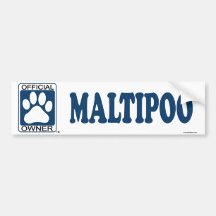 Maltipoo blått bildekal