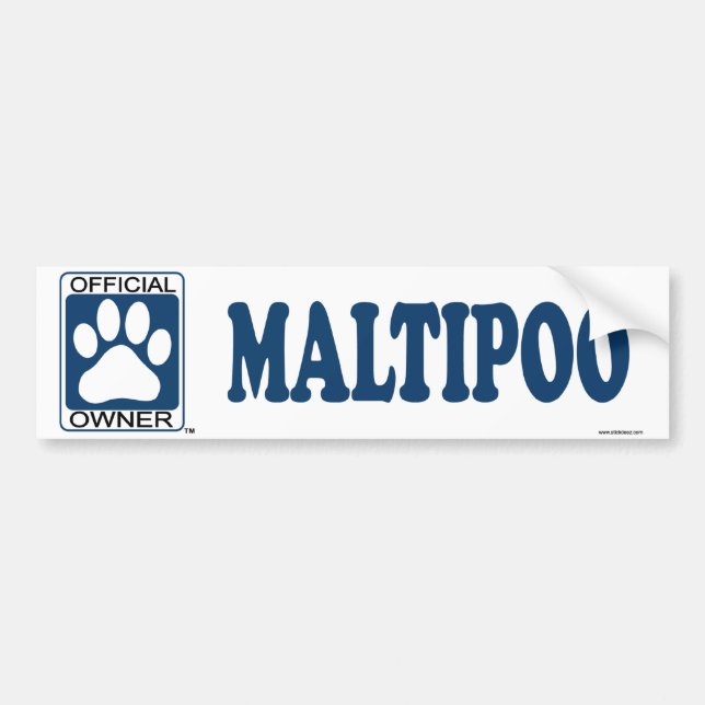 Maltipoo blått bildekal (Framsidan)