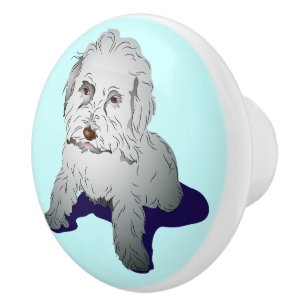 Maltipoo gullig valp knopp