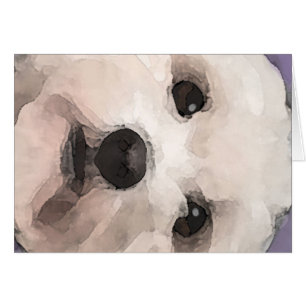 Maltipoo Hälsningskort