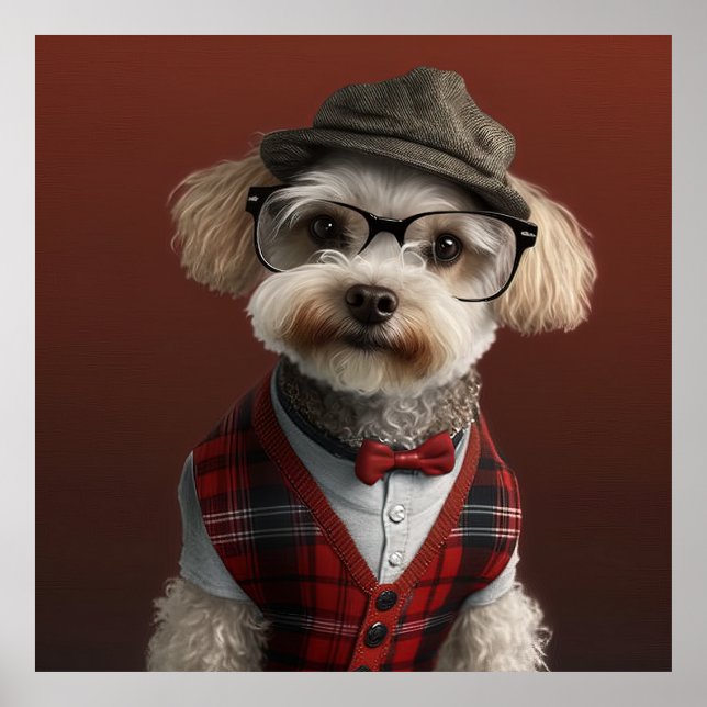 Maltipoo Hipster-Hund Poster (Framsidan)