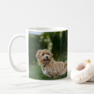 Maltipoo Kaffemugg