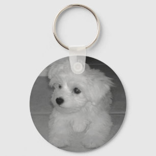 Maltipoo Keychain Nyckelring