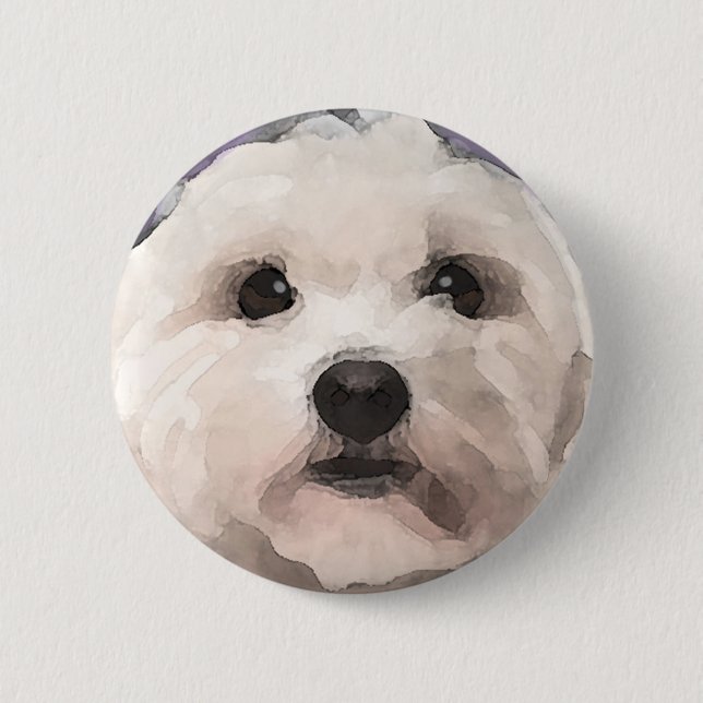 Maltipoo Knapp (Framsida)