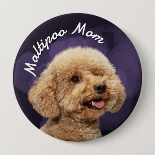 Maltipoo Mamma med lila bakgrund Knapp