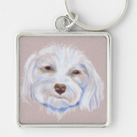 Maltipoo med en attityd