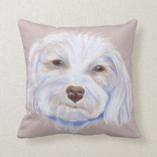 Maltipoo med en inställning kudde